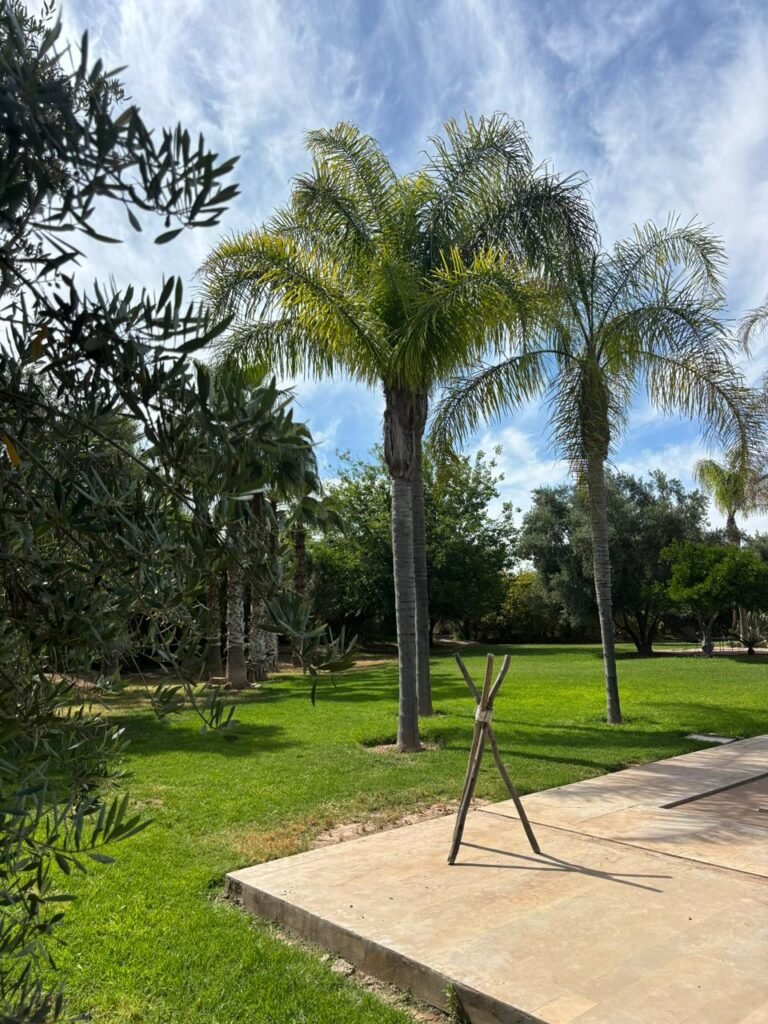 Villa Marrakech court séjour : guide pour 2 à 5 nuits 3 Villa Marrakech court séjour